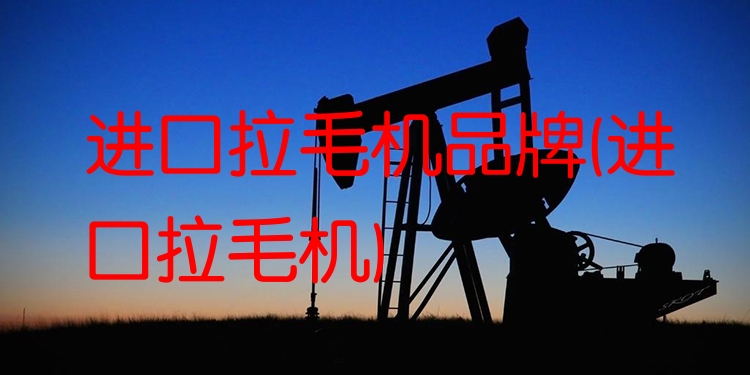 拉毛机品牌